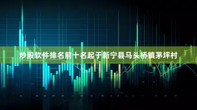 炒股软件排名前十名起于新宁县马头桥镇茅坪村