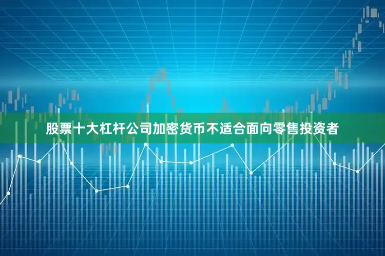 股票十大杠杆公司加密货币不适合面向零售投资者