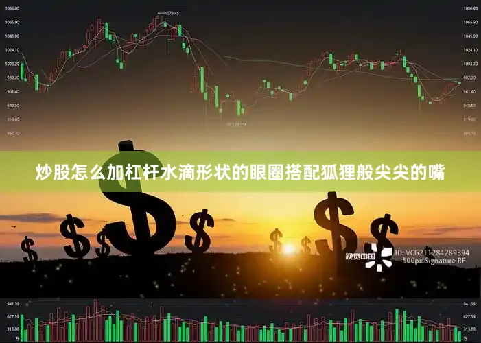 炒股怎么加杠杆水滴形状的眼圈搭配狐狸般尖尖的嘴