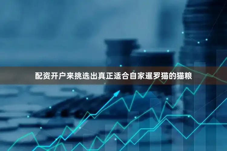 配资开户来挑选出真正适合自家暹罗猫的猫粮