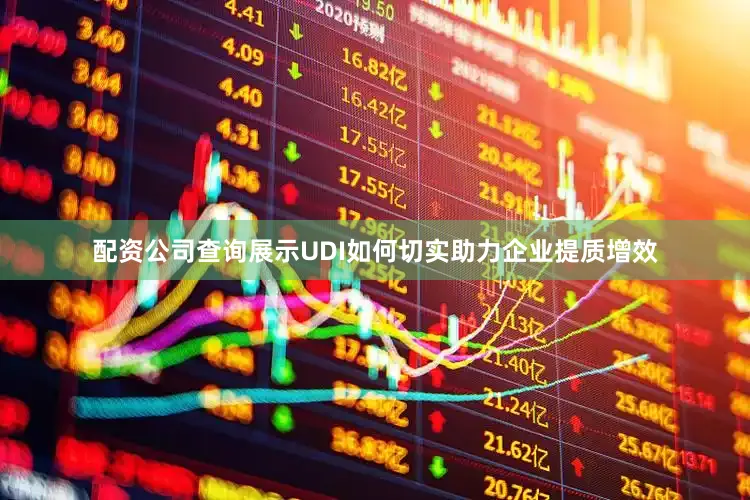 配资公司查询展示UDI如何切实助力企业提质增效